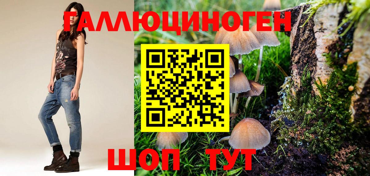 Псилоцибиновые грибы GOLDEN TEACHER  Вход с VPN  Нижнекамск 